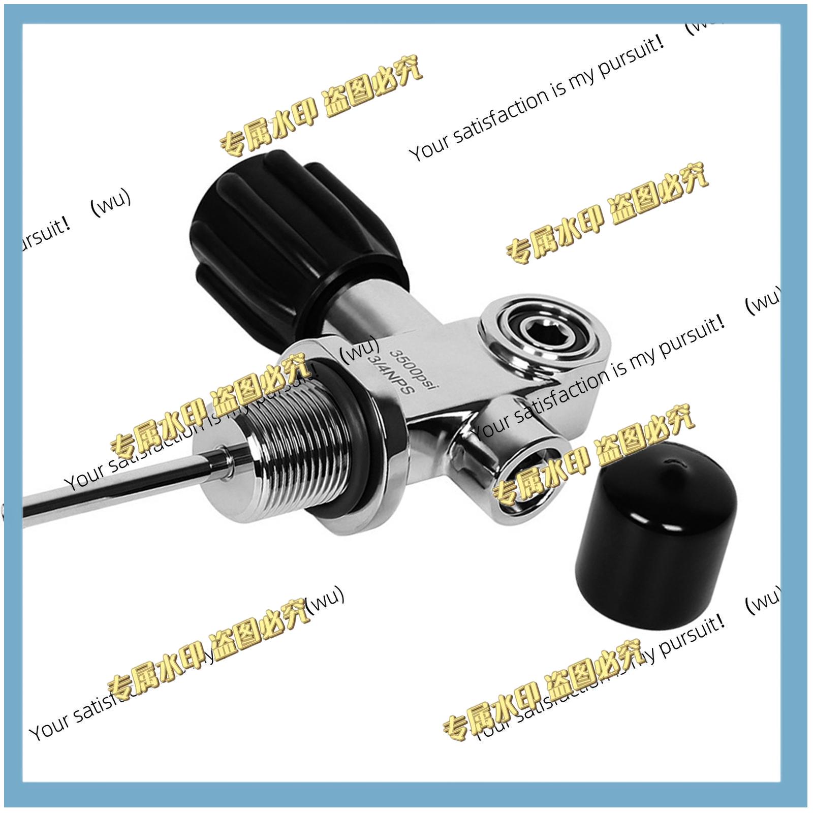 صمام أسطوانة غوص من الفولاذ ال - مراجعة Scuba Tank Valve Din Yoke Convertible وسعره